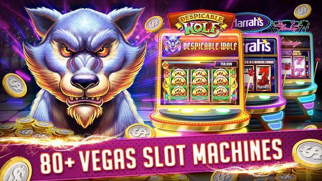 lodi 291 online casino