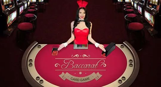 mwplay best online casino